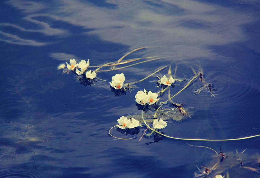 驻足眼前美景,泸沽湖的静谧之美