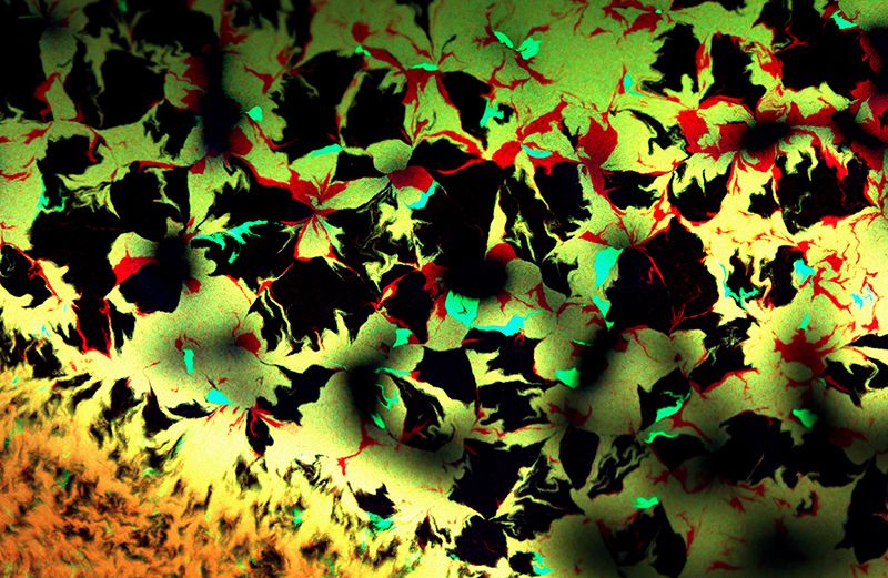 反直觉！将细菌进行基因改造能替代药物对抗疾病吗？｜Nature关注