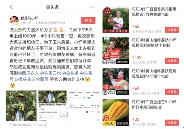 巧妇9妹水果专卖店,巧妇9妹小六小丽摘水果