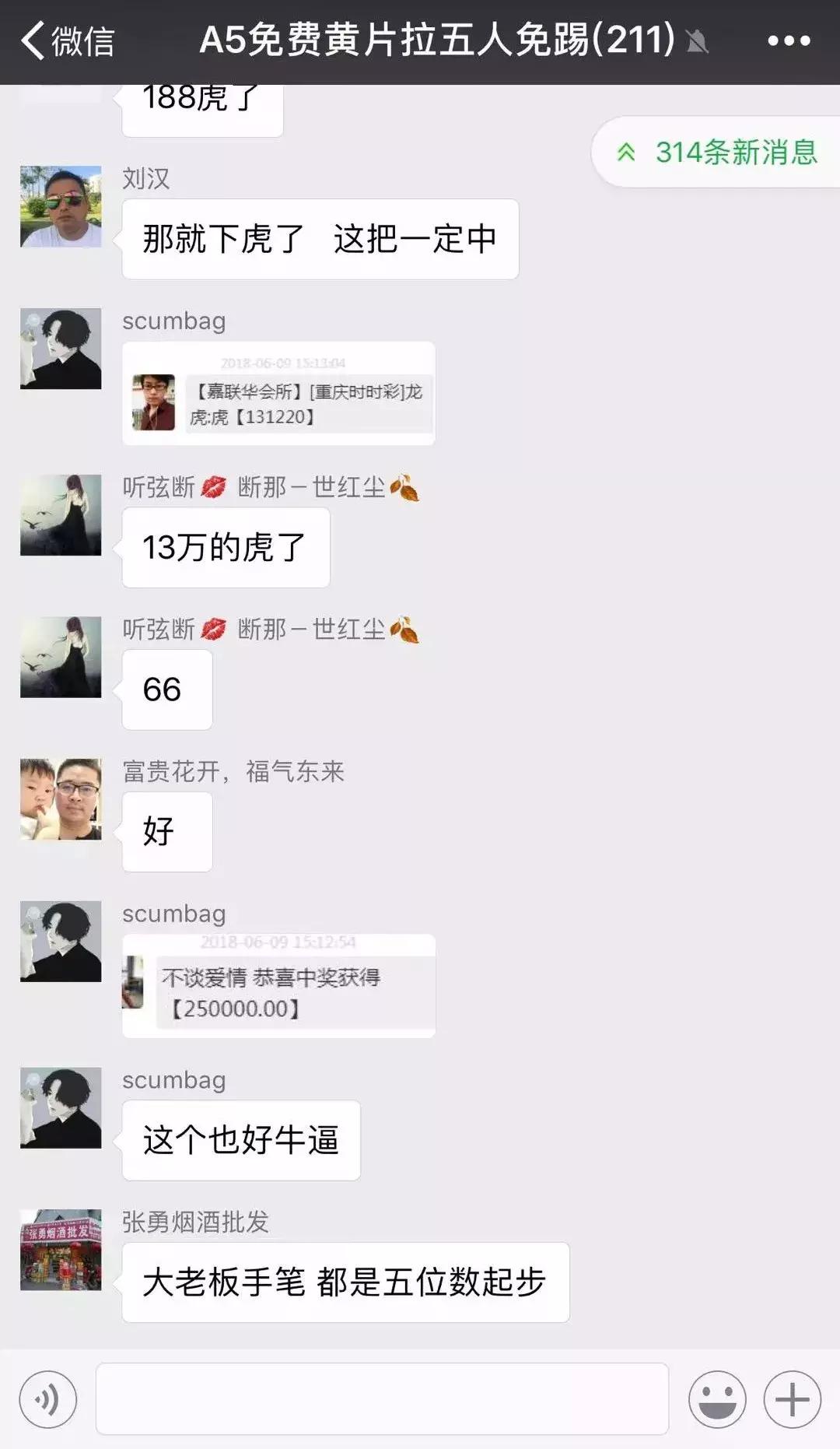 疯狂的网络赌博,疯狂的网赌