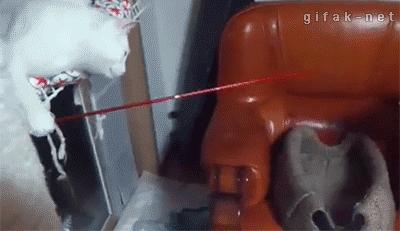 钓鱼子线怎么绑才不打结,子线怎么绑法钓鱼率最高