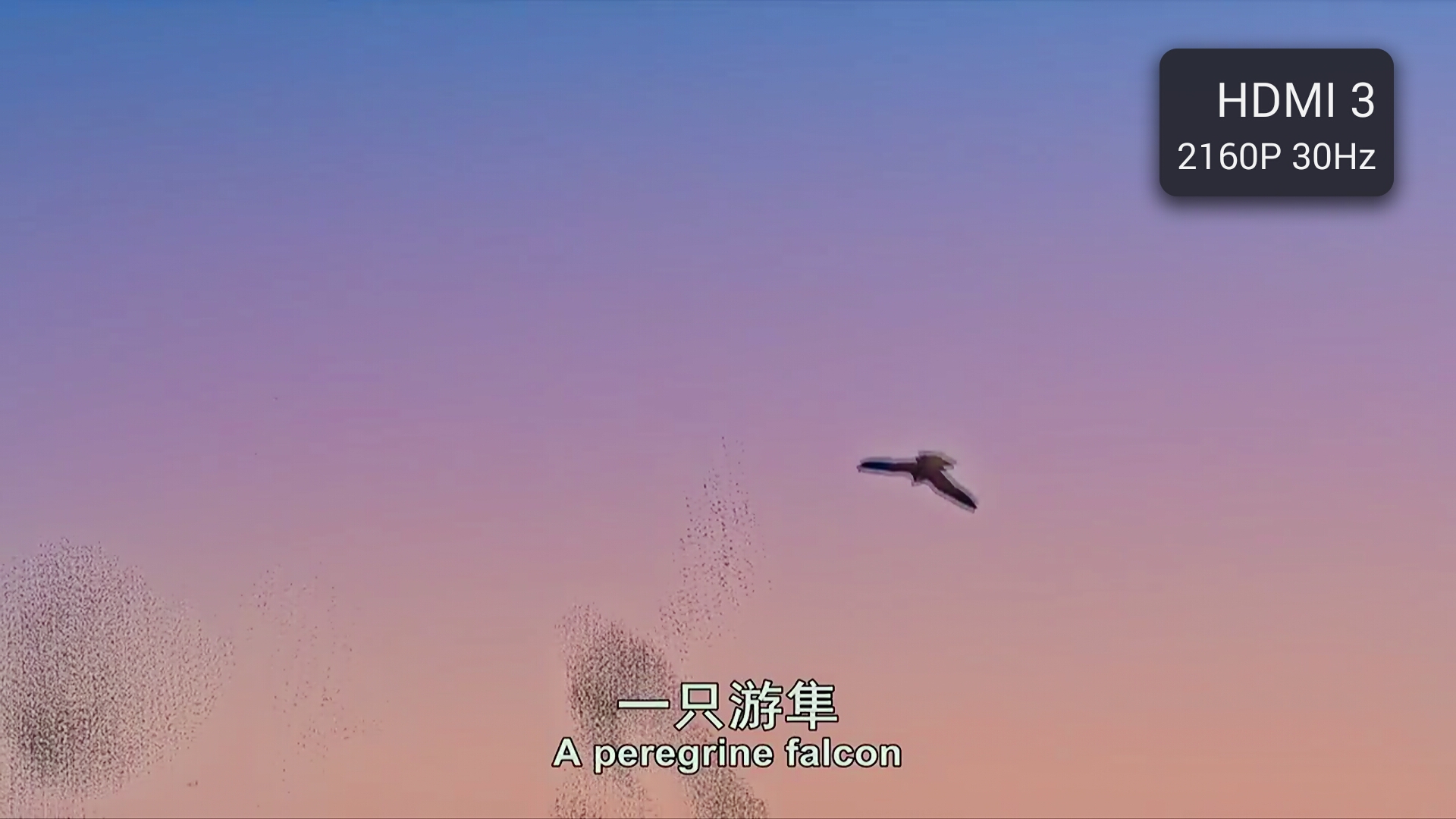 智能语音机顶盒天猫魔盒,天猫精灵魔盒测评体验