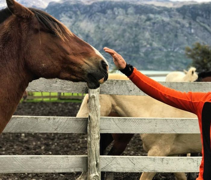 阿根廷的地理小报,阿根廷八卦