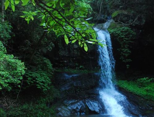 管恩锋十首经典歌曲,管恩锋