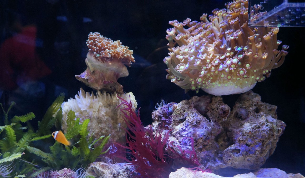 宸村帢宀涘浘鍏板娼滄按浜嬩欢,宸村帢宀涘浘鍏板娼滄按鏀荤暐