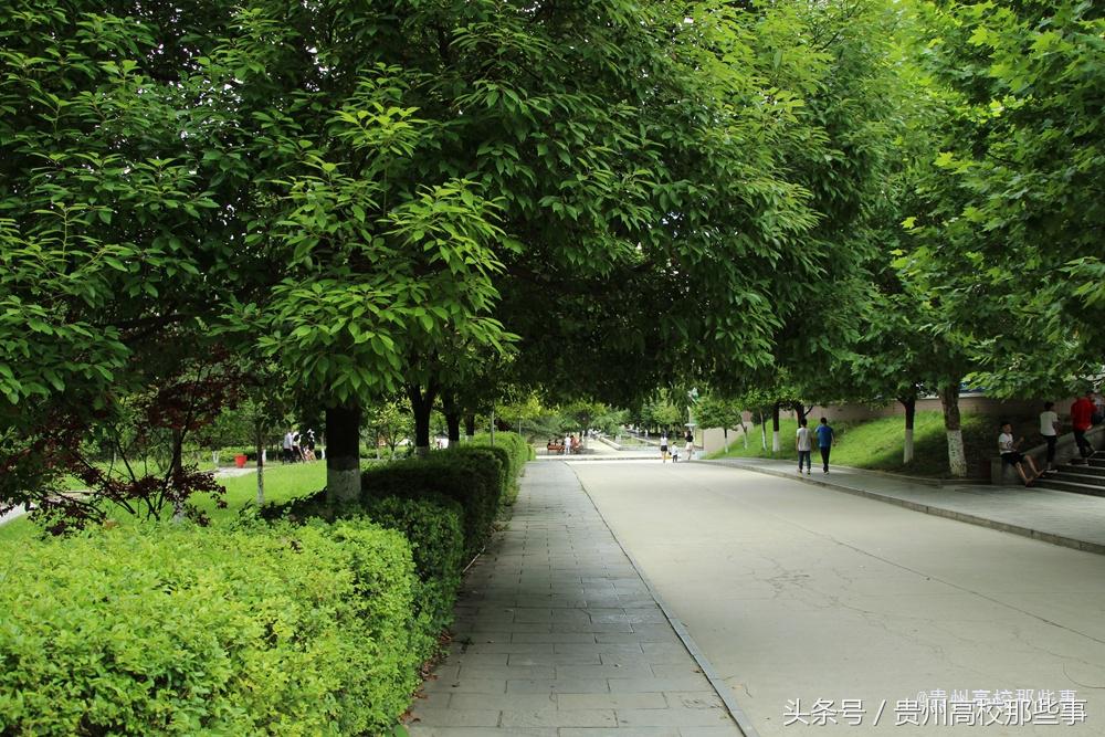 填志愿选贵州专科学校建议一下,贵州文史类大专院校