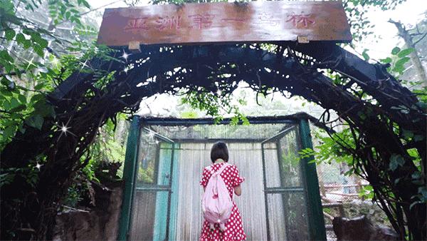 前方高能！疯狂动物城有猛兽出没，请保管好自己的小心脏！