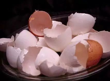 鸡蛋壳千万别扔16种妙用告诉你,鸡蛋壳不要随便扔超多妙用惊呆你