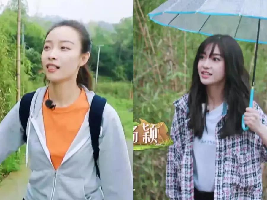 何炅穿2千元T恤插秧被喷？baby干脆穿6500元爆款下泥田