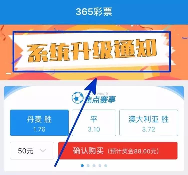 赌球app背后的真相,赌球app被抓的案例