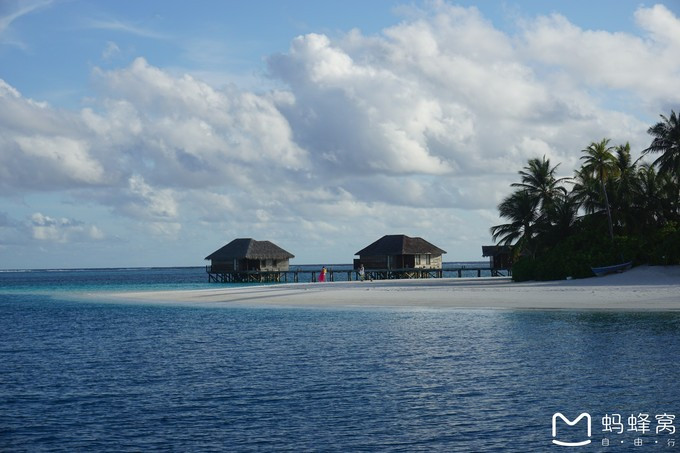 马尔代夫蝴蝶岛,马尔代夫港丽岛属于几星岛