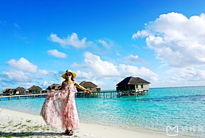 马尔代夫蝴蝶岛,马尔代夫港丽岛属于几星岛