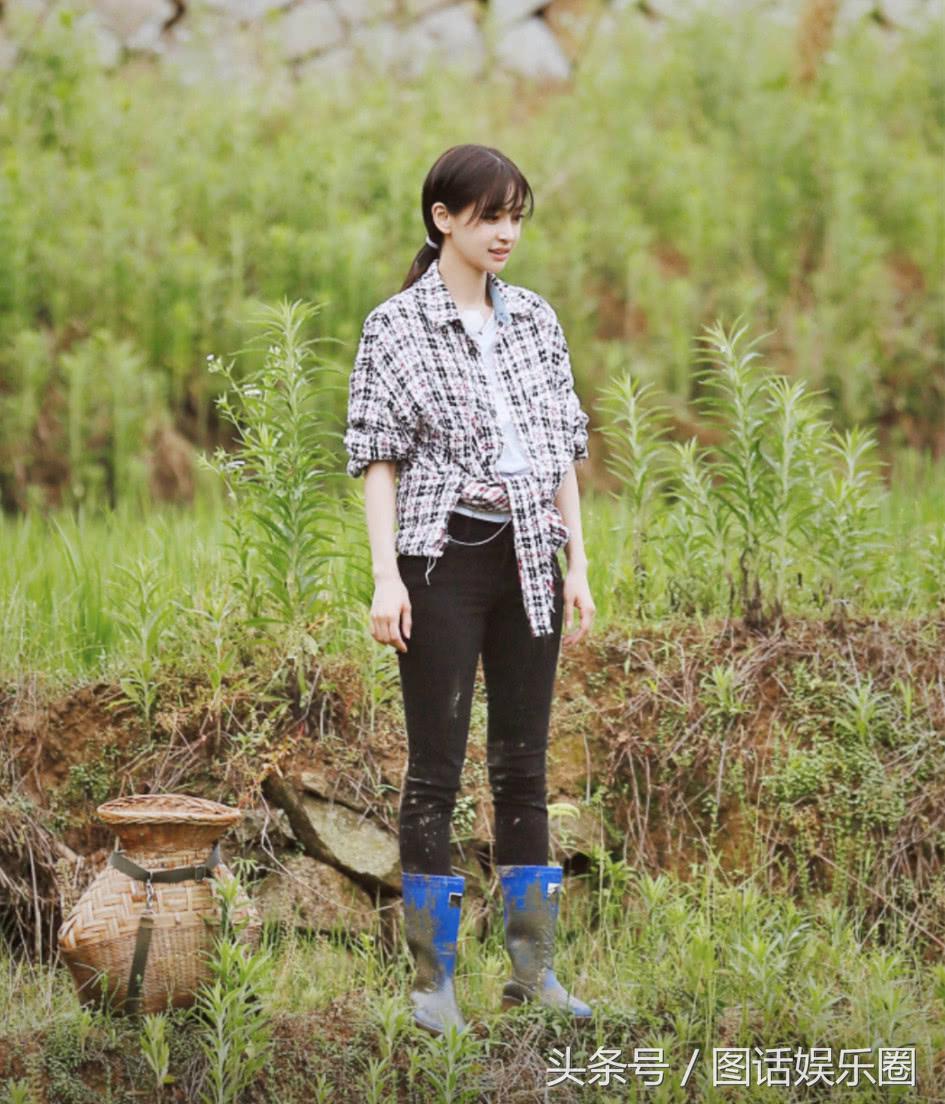 何炅穿2千元T恤插秧被喷?Baby干脆穿6500元爆款下泥田