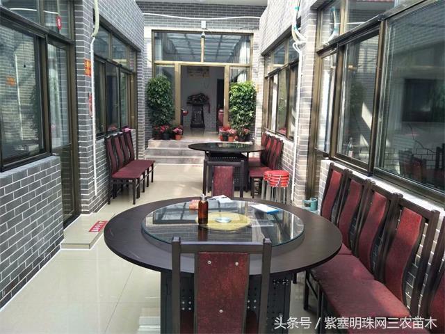 梨木台古树农家院,蓟县梨木台兴业缘农家院