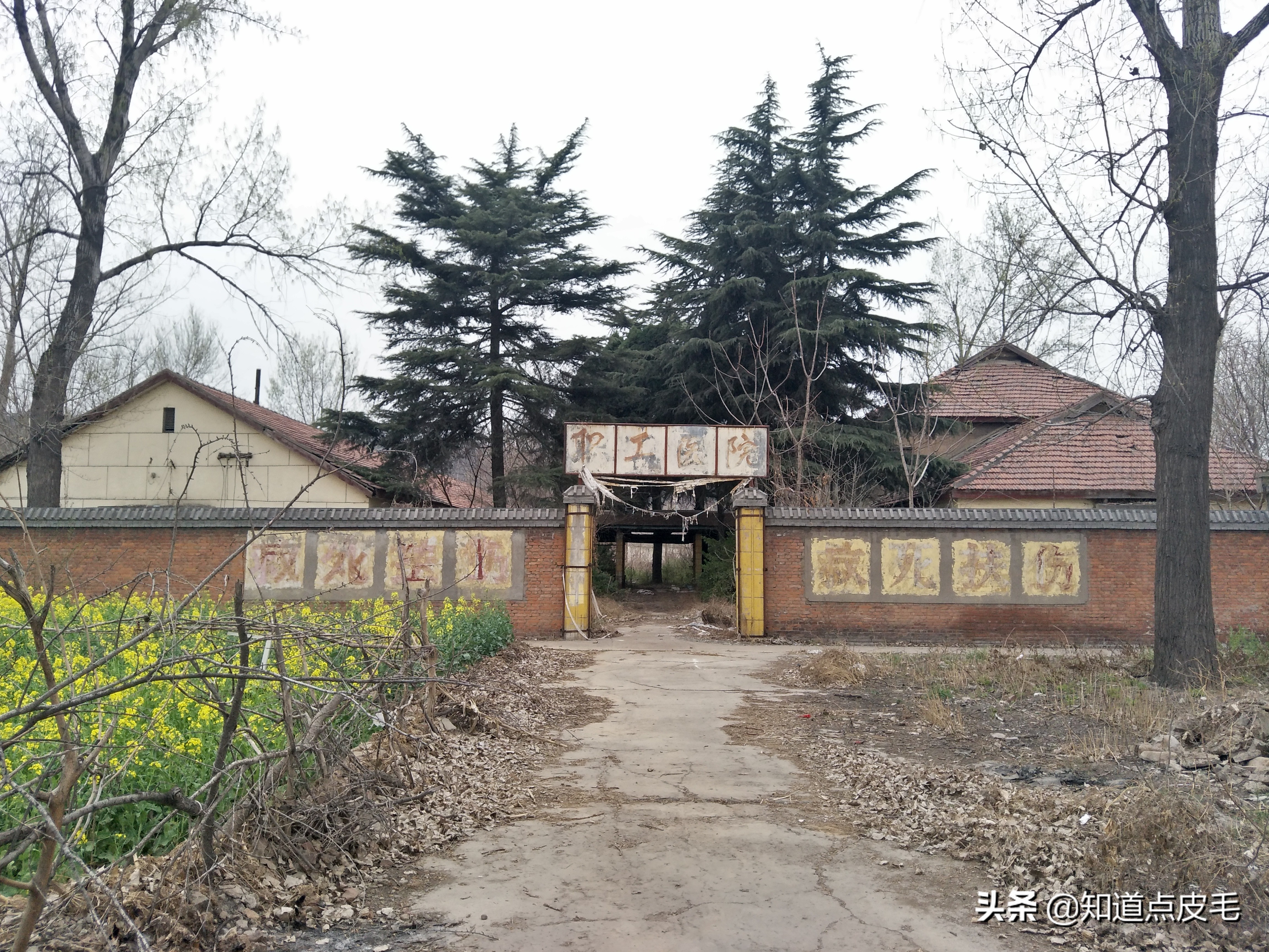 童年的回忆农村,童年的回忆维吾尔族