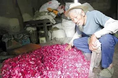 90岁老人种了67年花，靠玫瑰花瓣养活了8个孩子！