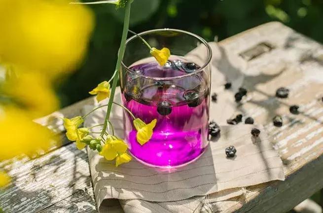 夏日养生茶黑枸杞,夏至可以喝黑枸杞水吗