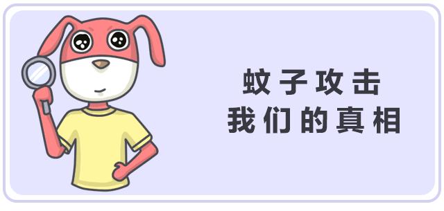 鍚歌铓婂瓙婕敾,鍏充簬铓婂瓙婕敾