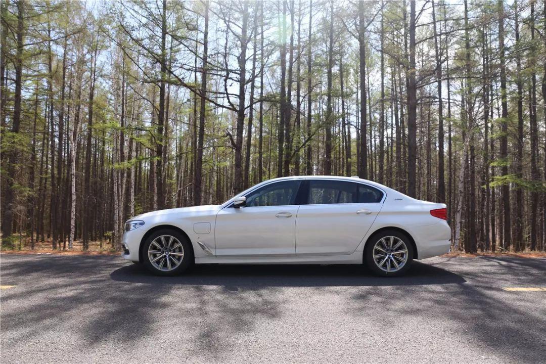 所罗门王的指环完整版,所罗门王的指环全文