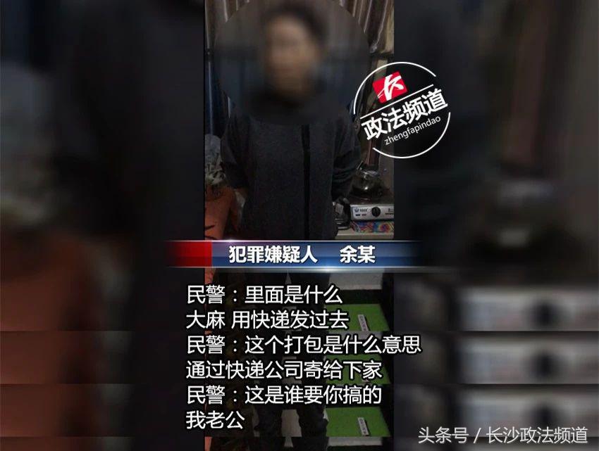 警方查处非法种植毒品,长沙市公安局破获特大大麻种植案