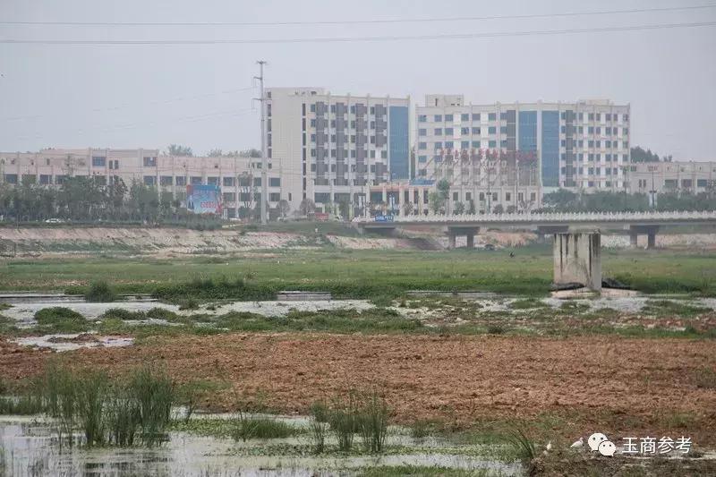 河南石佛寺现在玉市场怎么样,河南省石佛寺镇玉器市场