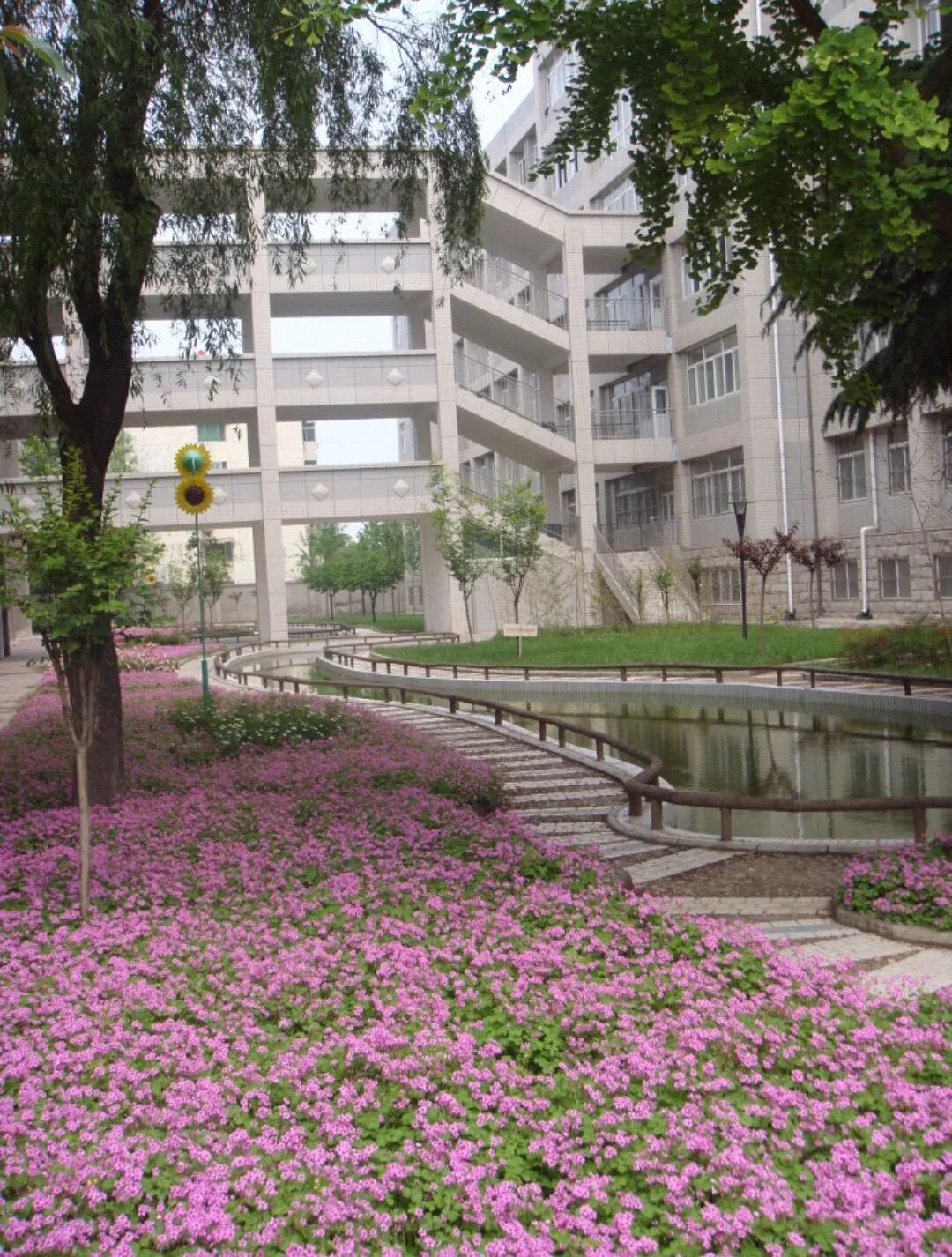 职业技术学院专业排名,职业技术学院招生专业一览表