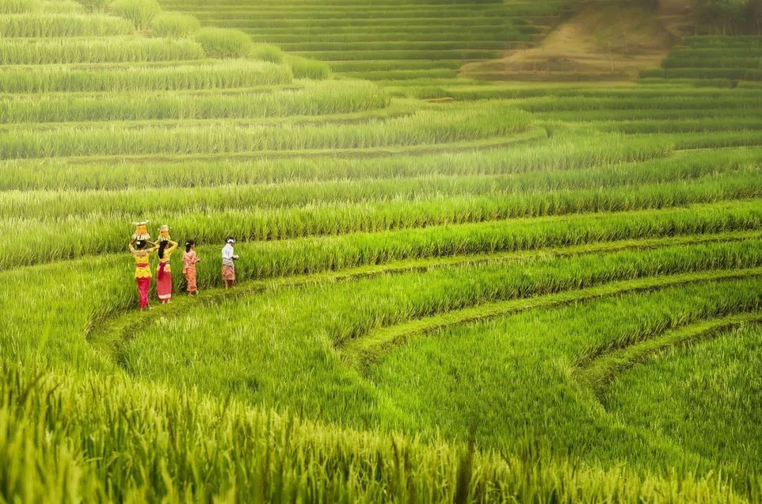 上半年大片推荐,2018旅行大片