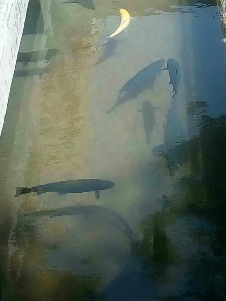 天晴湾风景区,淄川天晴湾