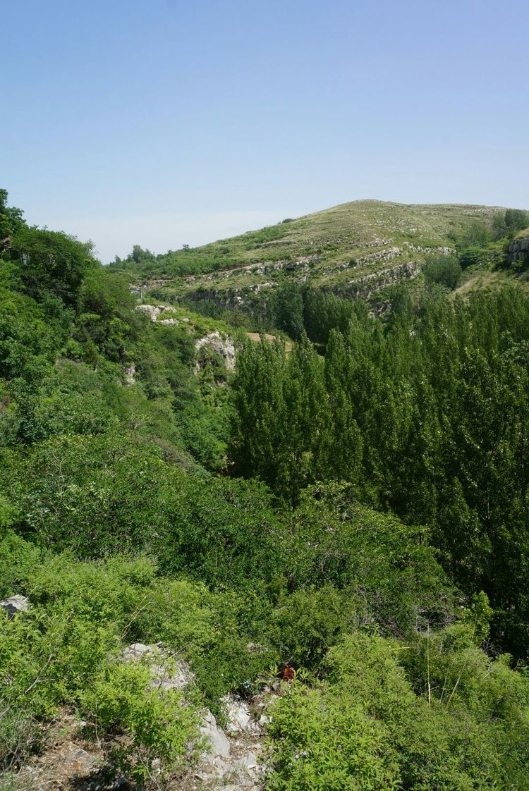 天晴湾风景区,淄川天晴湾