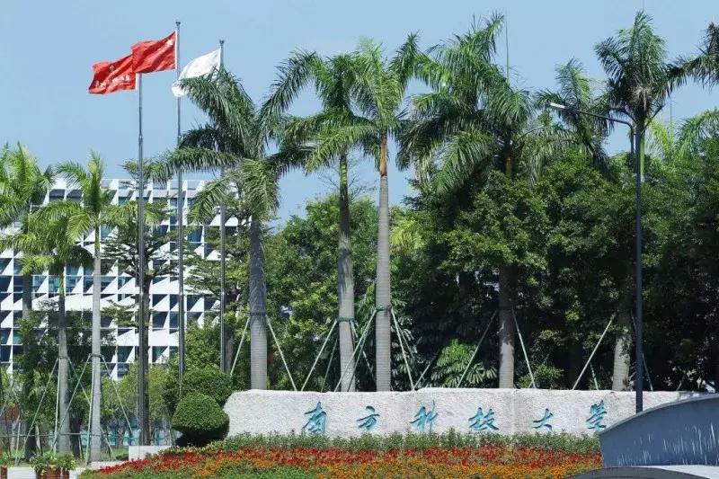 深圳名牌大学排名榜,深圳名牌大学