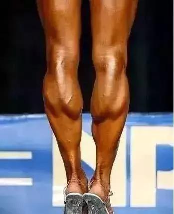 腿型怎样判断是粗腿还是细腿,腿型好看的肌肉腿