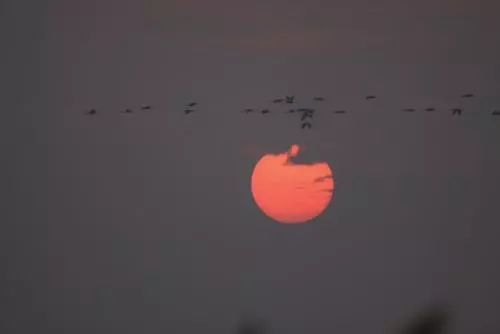 史上最难解的宋词，该怎么读？