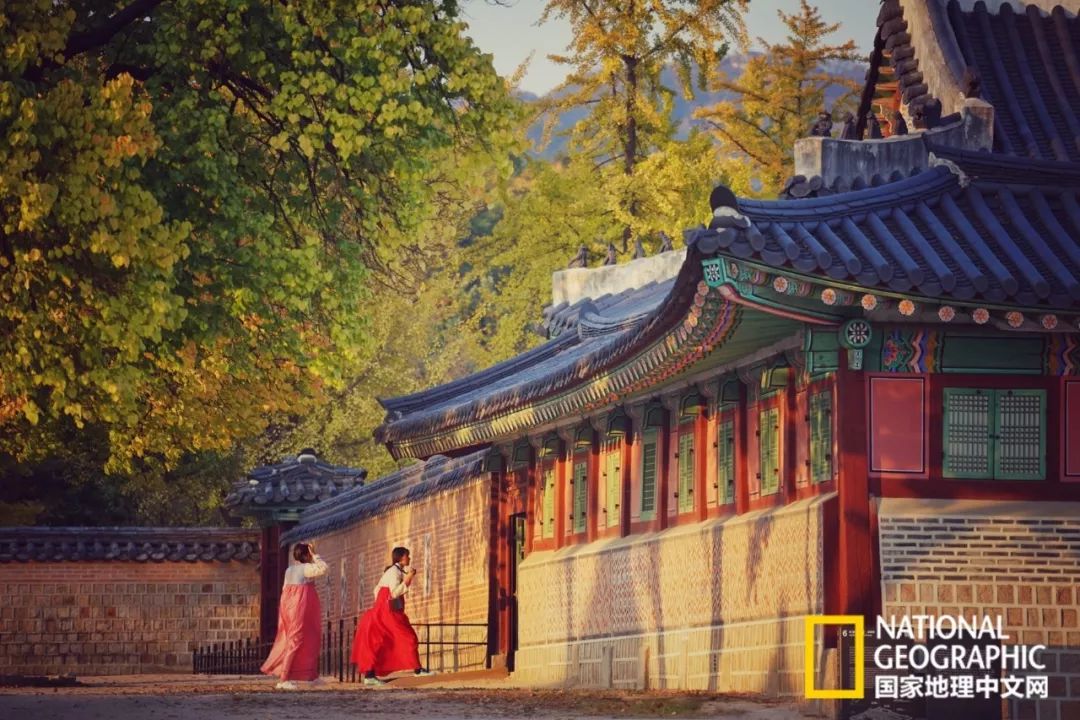 韩国足球的犯规艺术,韩国踢足球犯规现场