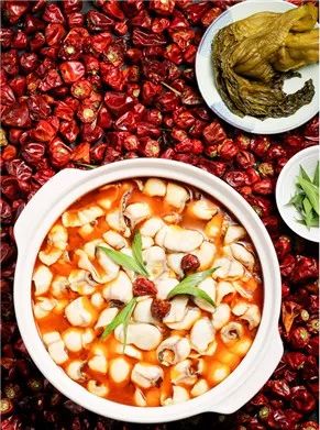 环游世界的“网黄”B.Duck来杭州旅游！带你玩遍、吃遍全球