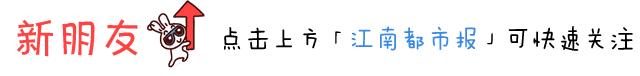 女子杀鸡取出400万,女子杀鸡得上亿元鸡宝