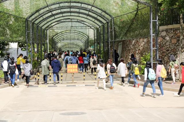 广西高校宿舍大比拼谁家段位最出众