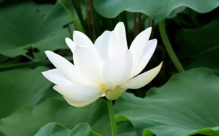 古训：做“大人”，存“小心”