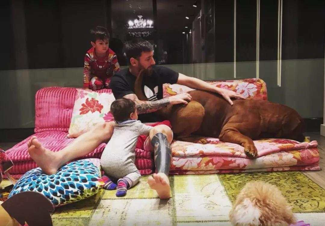 精致大气的极简风格,极简主义极奢风格图片