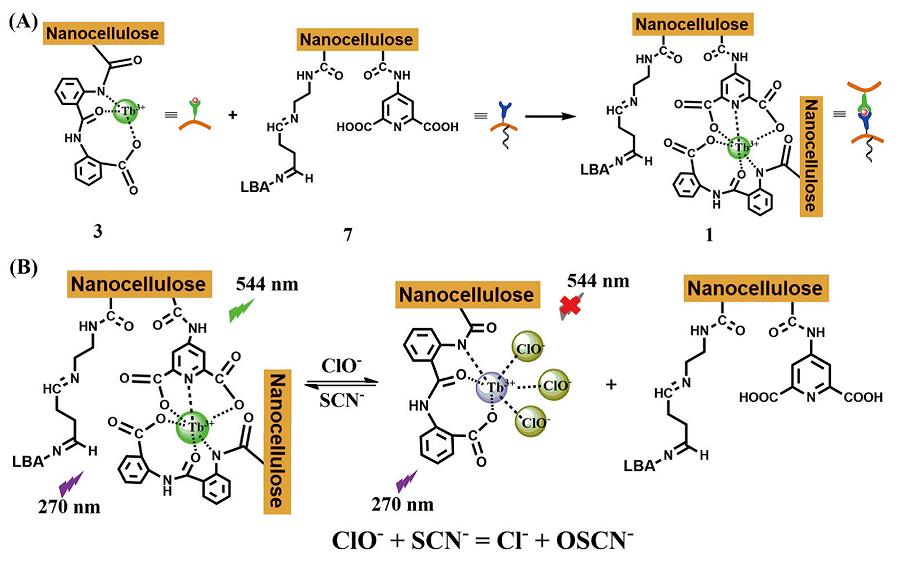 可用于指纹检测及加密的阴离子响应纳米纤维素水凝胶