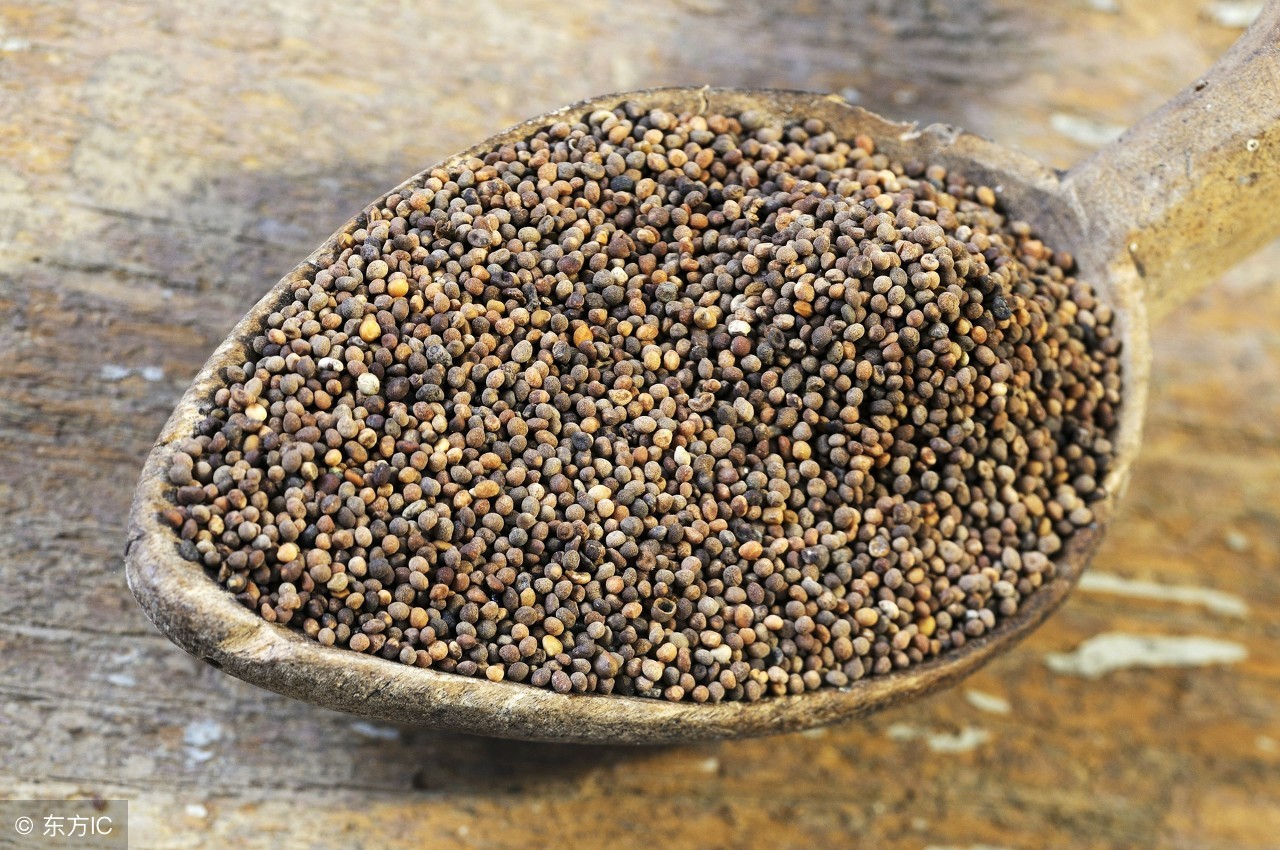 用补药，对症才见效常见中药补阳药，详细对比