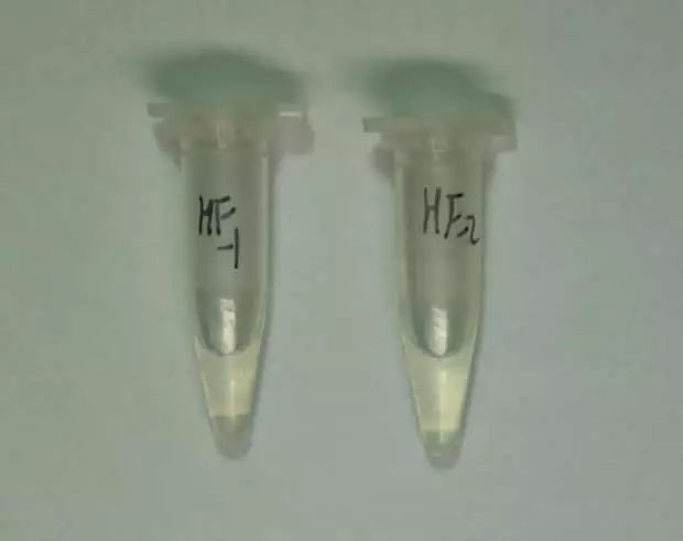 全国人民禁毒法规定禁毒是什么,国家禁毒相关法规内容