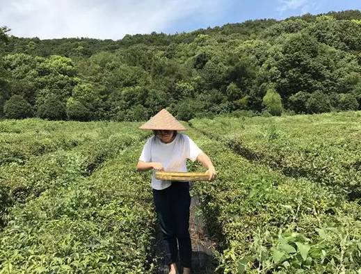 农业创业赚钱的十种运营模式,如何打造农业持续的盈利模式