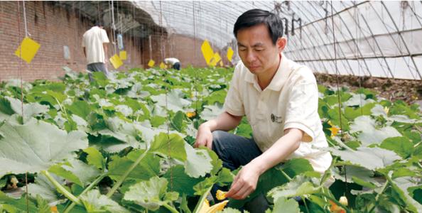 农业十大新模式,农业最赚钱的十种模式