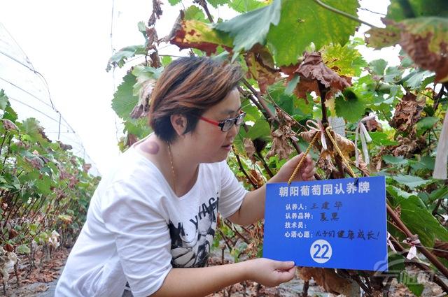 农村农业种植业哪种能赚钱,2021年十大农业赚钱模式盘点