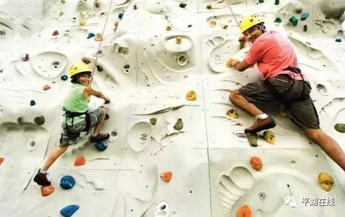 欧洲杯德国vs苏格兰大冷门,德国世界杯最大冷门