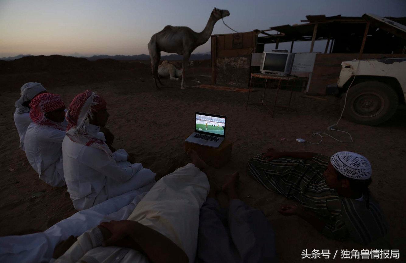 2018年世界杯32强国际排名,2018世界杯32强各个球队身价排名