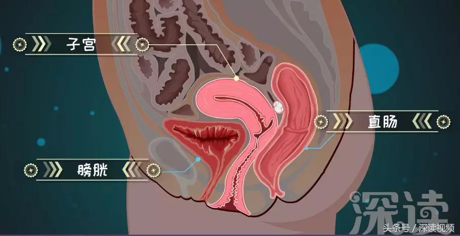 子宫肌瘤在哪个地方影响怀孕,子宫肌瘤剔除怎么还有东西流出来