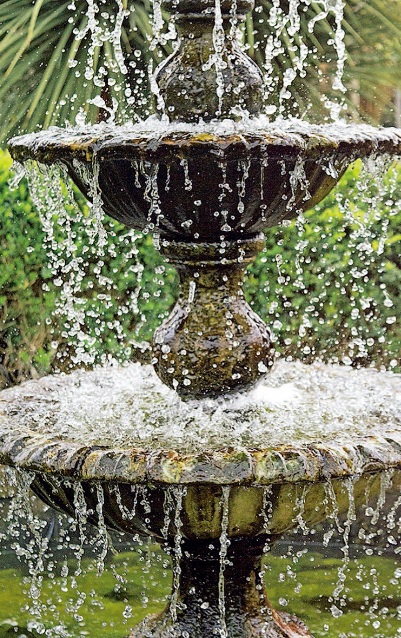 单反入门相机推荐,入门数码单反相机