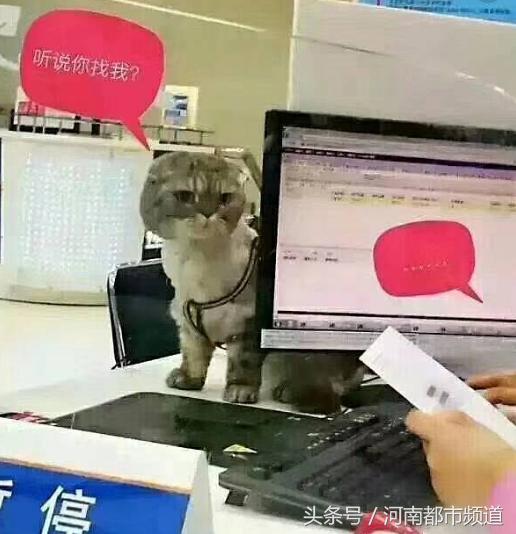 办理宽带却被携号转网,办宽带被强制要求绑定号码