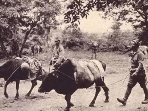 抗日战争士兵被日军酷刑,14岁女孩被日本兵抓